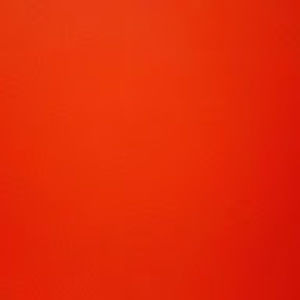 Meet your Posher, Allen